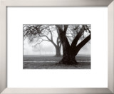 Buy Strength and Beauty at AllPosters.com