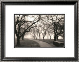 Buy Foggy Morning Walk at AllPosters.com