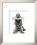 Dog News