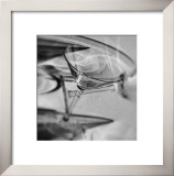 Martini Glasses III