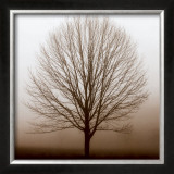Buy Stillness at AllPosters.com