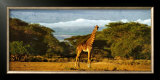 Buy Kimana Area - Kenya at AllPosters.com