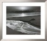 Buy Birds On A Beach at AllPosters.com