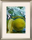 Buy Limone at AllPosters.com