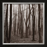 Buy Gathering at AllPosters.com