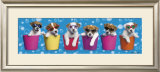 Shady Pups