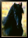 Buy Unknown at AllPosters.com