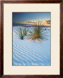 Buy New Mexico at AllPosters.com