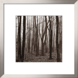 Buy Gathering at AllPosters.com