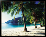 Buy Tonsai Beach, Phi Phi Islands, Thailand at AllPosters.com