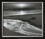 Buy Birds On A Beach at AllPosters.com