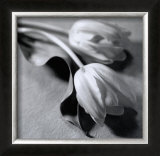 Buy Two Tulips at AllPosters.com