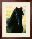 Buy Unknown at AllPosters.com