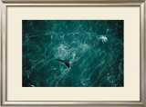 Baleine