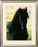 Buy Unknown at AllPosters.com