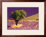 Buy Provence Scene at AllPosters.com