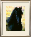Buy Unknown at AllPosters.com