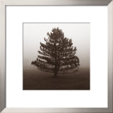 Buy Reflection at AllPosters.com