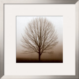 Buy Stillness at AllPosters.com
