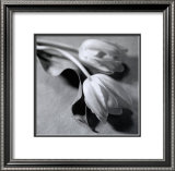 Buy Two Tulips at AllPosters.com
