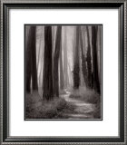 Winding Path, San Francisco