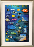 Buy The Coral Reef at AllPosters.com