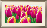 Buy Tulips at AllPosters.com