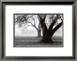 Buy Strength and Beauty at AllPosters.com