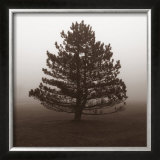 Buy Reflection at AllPosters.com