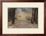 Silent Path Framed Art Print