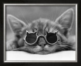 Buy Kool Kat I at AllPosters.com