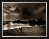 Horse Looking at the river, Normandie 99