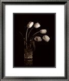Buy Dramatic Tulips at AllPosters.com