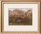 Resting Under the Lilacs