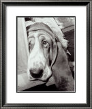 Sorrowful Jones