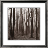 Buy Gathering at AllPosters.com