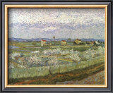 Orchard Framed Art Print