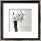 Daffodil Secrets