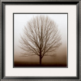 Buy Stillness at AllPosters.com