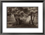 Buy The Old Bridge at AllPosters.com