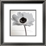 Buy Poppy Love at AllPosters.com