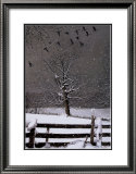 Buy Winter Flight at AllPosters.com