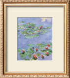 Water Lilies, c. 1914-1917
