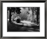 Buy Path into the Woods, Burgundy at AllPosters.com