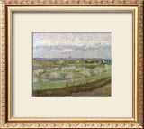 Orchard Framed Art Print