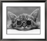 Buy Kool Kat I at AllPosters.com