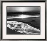 Buy Birds on a Beach at AllPosters.com