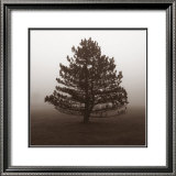 Buy Reflection at AllPosters.com