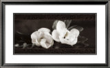 Buy Soft Magnolias I at AllPosters.com