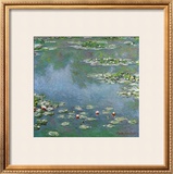 Waterlilies